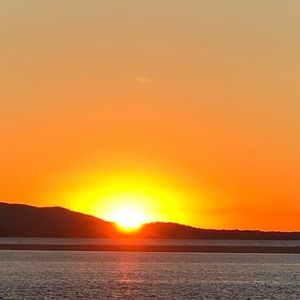 Meet your Posher, Roslyn